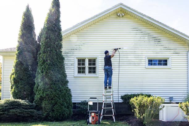 Best Gutter Cleaning  in Wray, CO